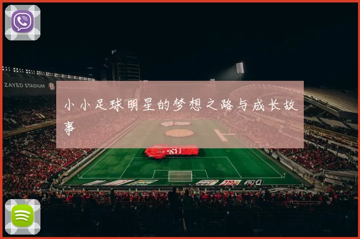 小小足球明星的梦想之路与成长故事