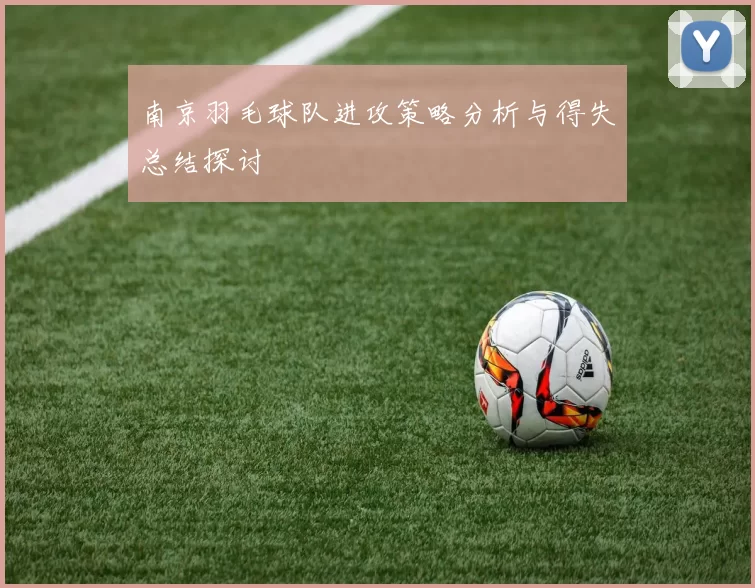 南京羽毛球队进攻策略分析与得失总结探讨