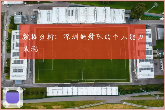 数据分析：深圳街舞队的个人能力表现