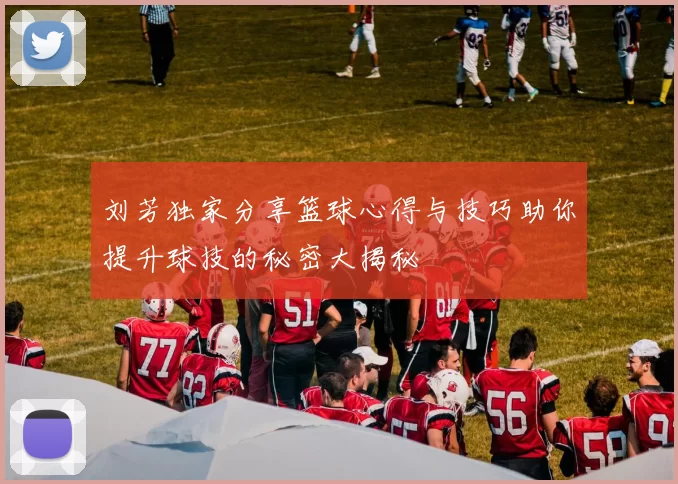 刘芳独家分享篮球心得与技巧助你提升球技的秘密大揭秘