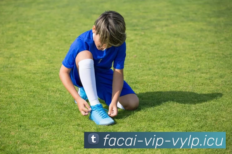 米兰体育APP 封面图